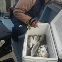 第五慶門丸 釣果