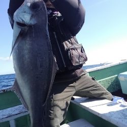 遊漁船 新鋭丸 釣果