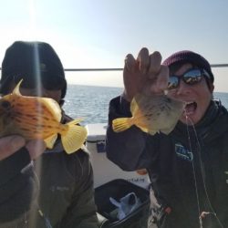 Magic（マジック） 釣果