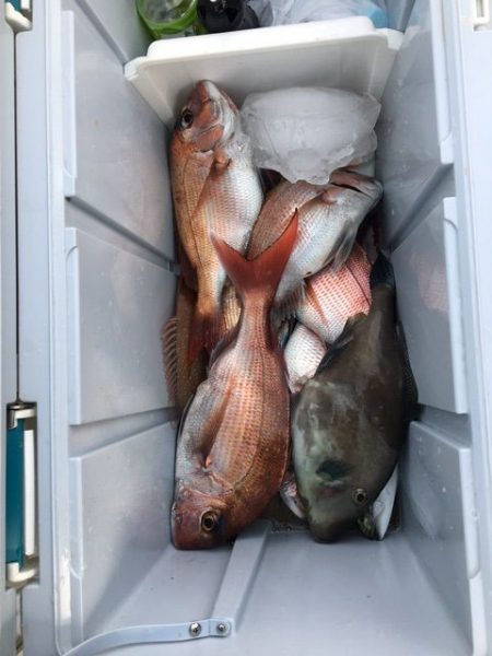 龍宮丸 釣果