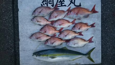 網屋丸 釣果