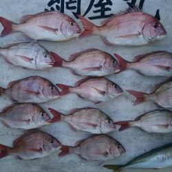 網屋丸 釣果