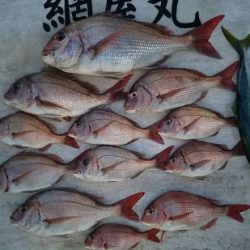 網屋丸 釣果
