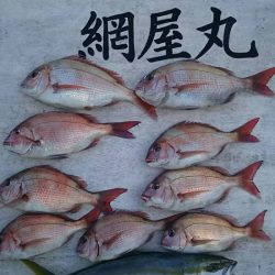 網屋丸 釣果