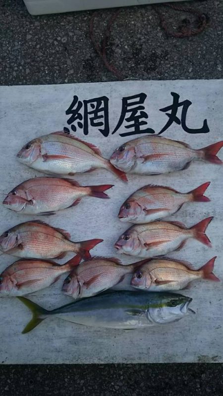 網屋丸 釣果