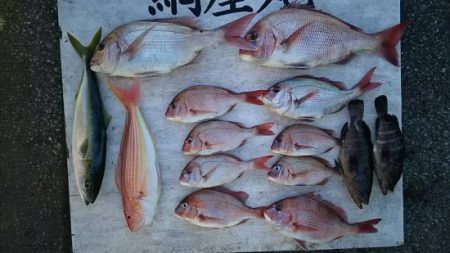 網屋丸 釣果