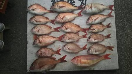網屋丸 釣果