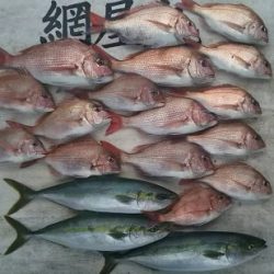 網屋丸 釣果