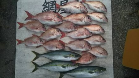 網屋丸 釣果