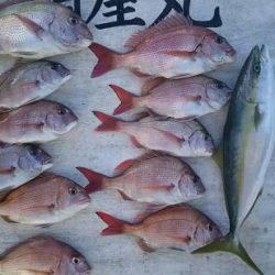 網屋丸 釣果