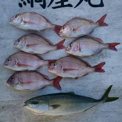 網屋丸 釣果