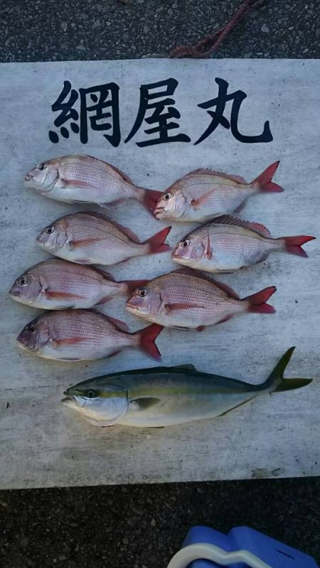 網屋丸 釣果