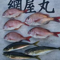 網屋丸 釣果