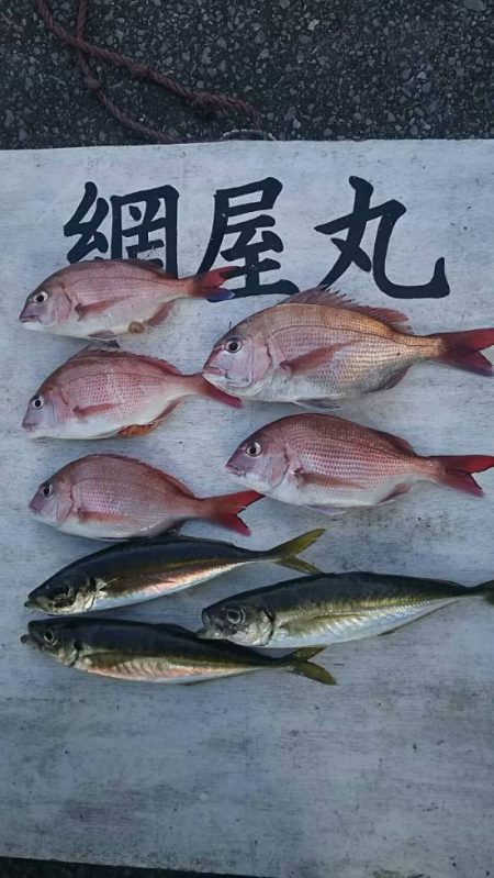 網屋丸 釣果