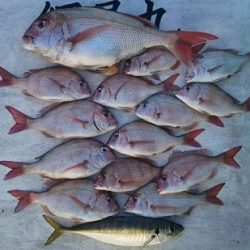 網屋丸 釣果