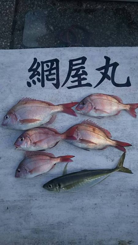 網屋丸 釣果