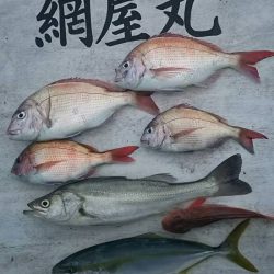 網屋丸 釣果