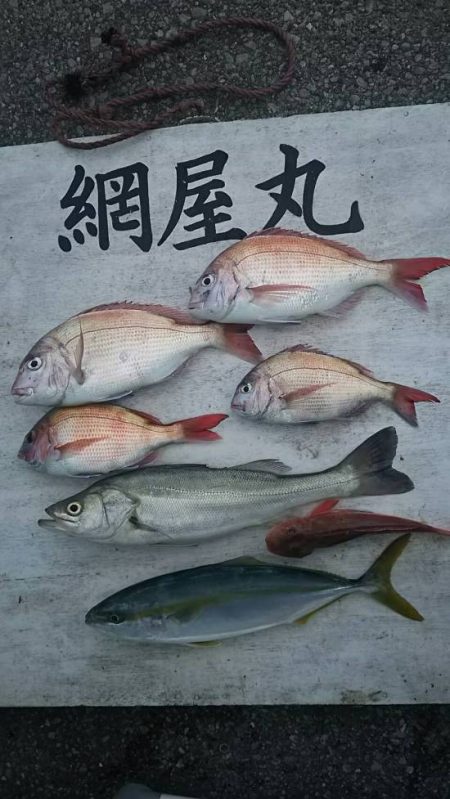 網屋丸 釣果