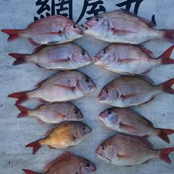 網屋丸 釣果