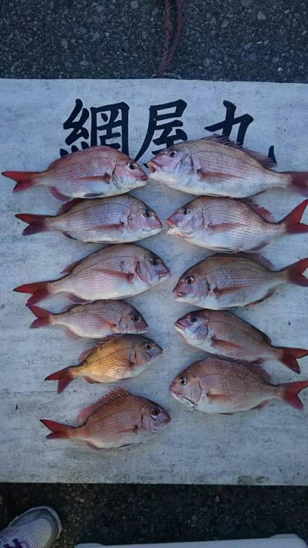 網屋丸 釣果