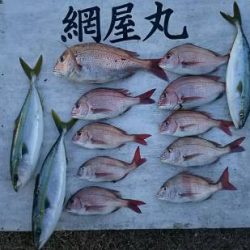 網屋丸 釣果
