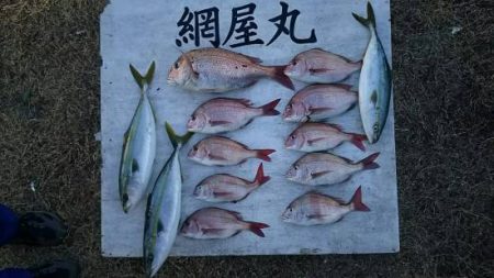 網屋丸 釣果
