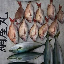 網屋丸 釣果