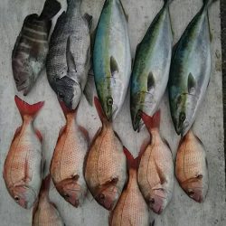 網屋丸 釣果