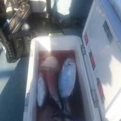 第五慶門丸 釣果