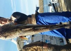 ディープ オーシャン 釣果