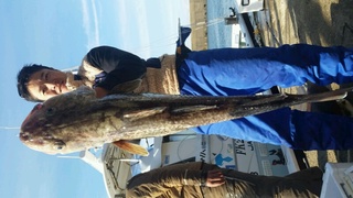 ディープ オーシャン 釣果