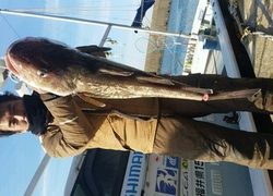 ディープ オーシャン 釣果