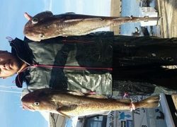 ディープ オーシャン 釣果