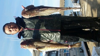 ディープ オーシャン 釣果