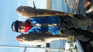 ディープ オーシャン 釣果