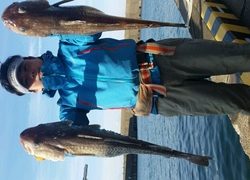 ディープ オーシャン 釣果