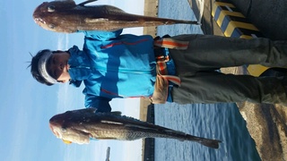 ディープ オーシャン 釣果