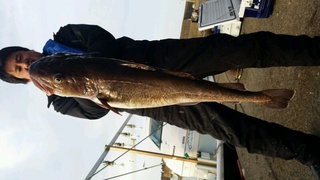 ディープ オーシャン 釣果