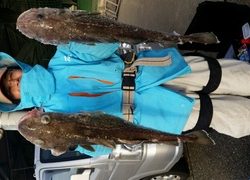 ディープ オーシャン 釣果