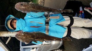 ディープ オーシャン 釣果