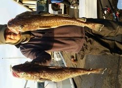 ディープ オーシャン 釣果