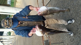 ディープ オーシャン 釣果