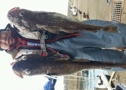 ディープ オーシャン 釣果