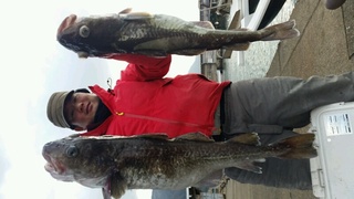 ディープ オーシャン 釣果