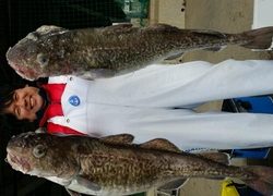 ディープ オーシャン 釣果