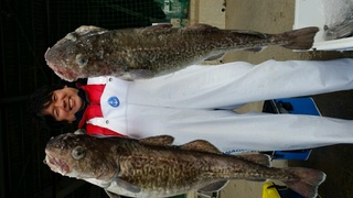 ディープ オーシャン 釣果