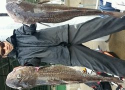 ディープ オーシャン 釣果