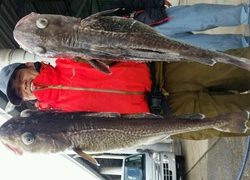 ディープ オーシャン 釣果