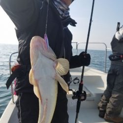 Magic（マジック） 釣果