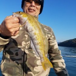 Magic（マジック） 釣果